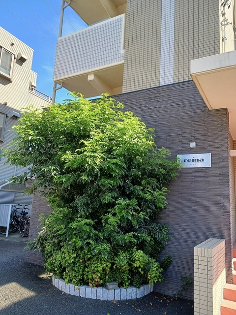 4/20 その他画像