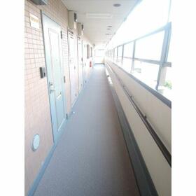 8/16 その他画像