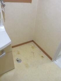 13/16 その他画像