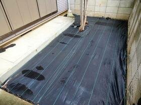 13/17 その他画像