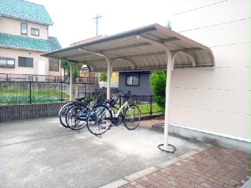 11/20 その他画像