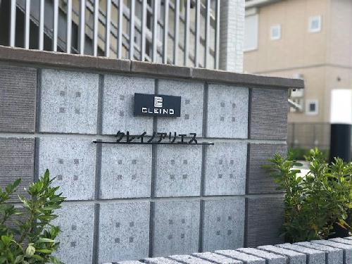 8/11 その他画像