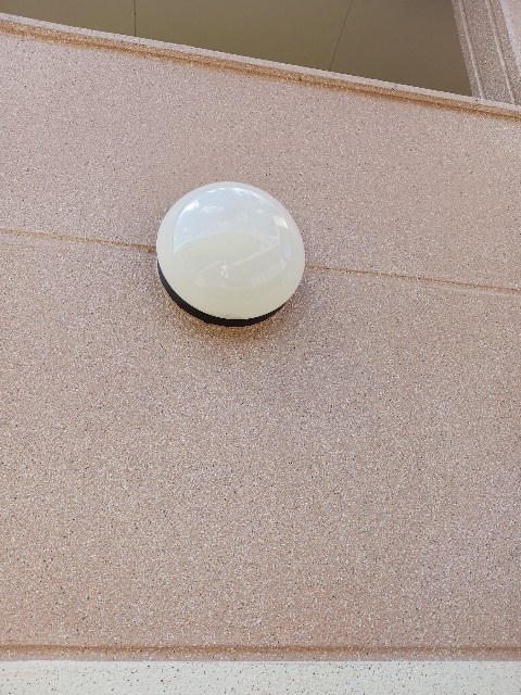 5/20 その他画像