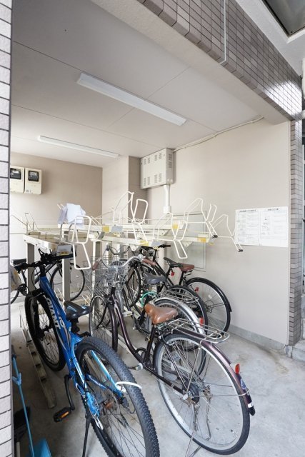 15/19 その他画像