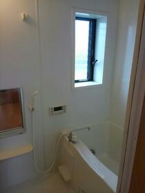 14/15 その他画像