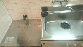 5/16 その他画像