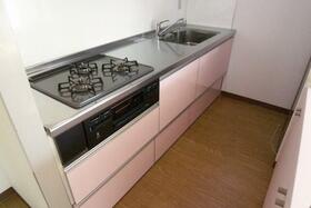 3/16 その他画像