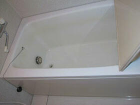 5/16 その他画像