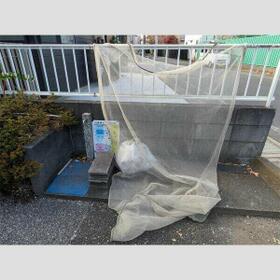 11/16 その他画像