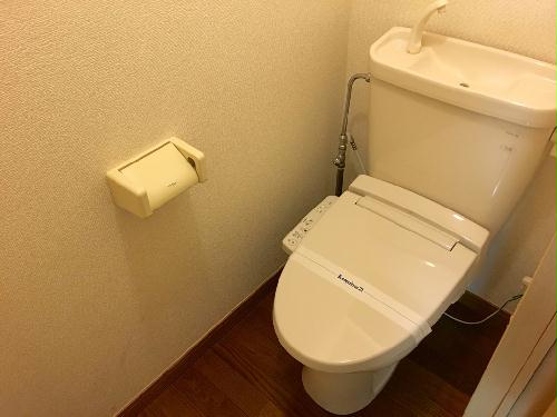 14/14 その他画像