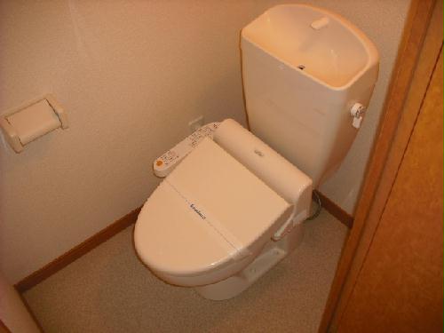 14/14 その他画像