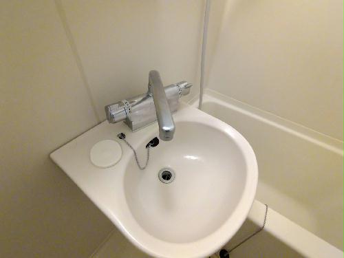 11/19 その他画像