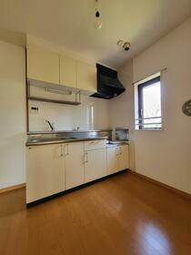 3/16 その他画像