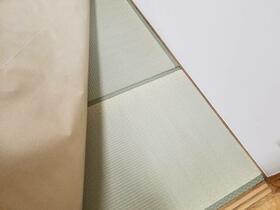 5/11 その他画像