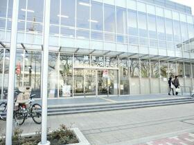 17/17 その他画像