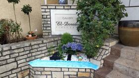 14/14 その他画像