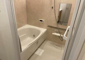 6/11 その他画像