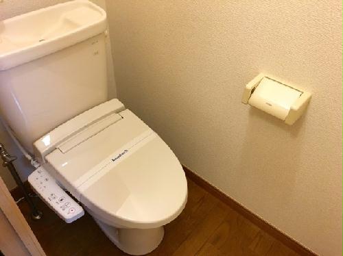 13/14 その他画像