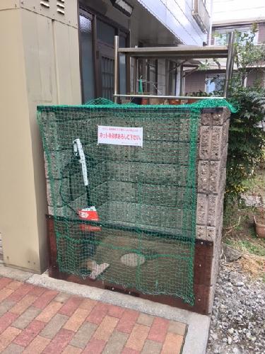 7/12 その他画像