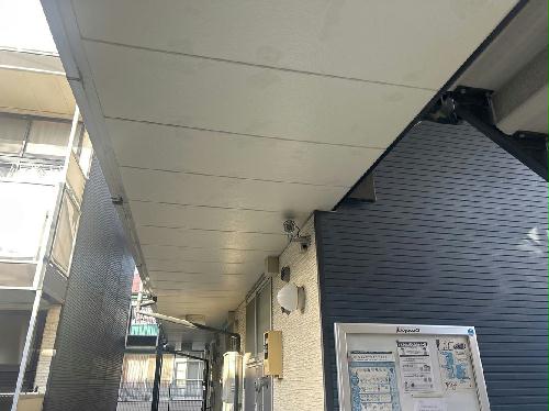 8/13 その他画像