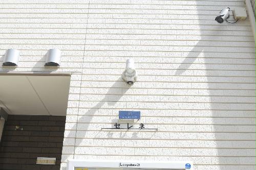 10/13 その他画像