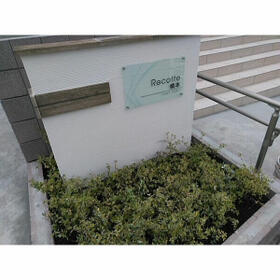 5/15 その他画像