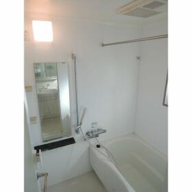 11/16 その他画像