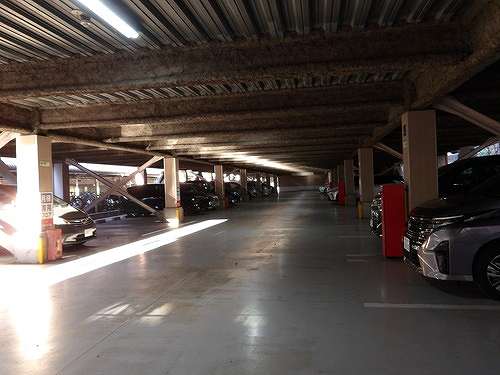 5/19 その他画像