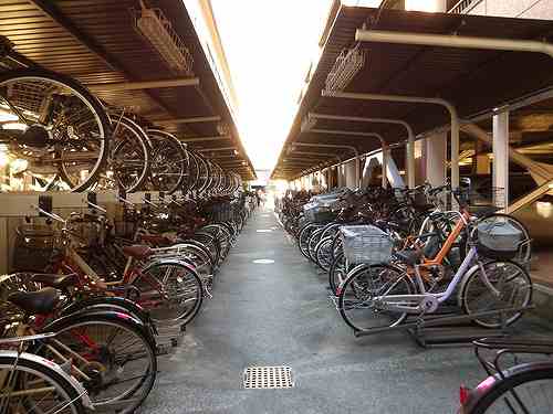 7/19 その他画像