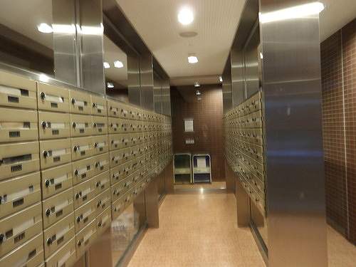 8/19 その他画像