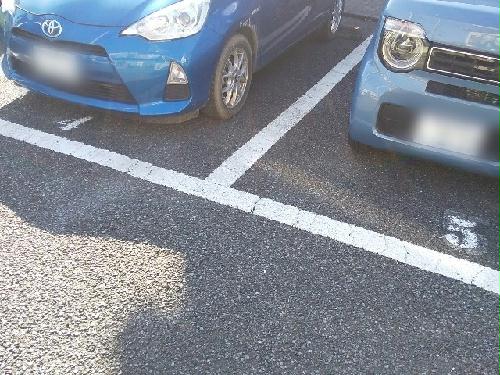 14/21 その他画像