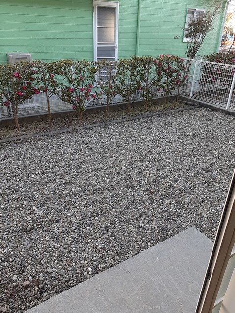 12/20 その他画像