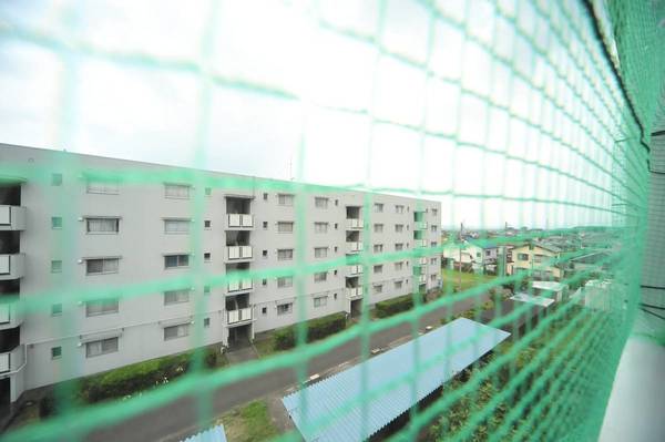 13/16 その他画像