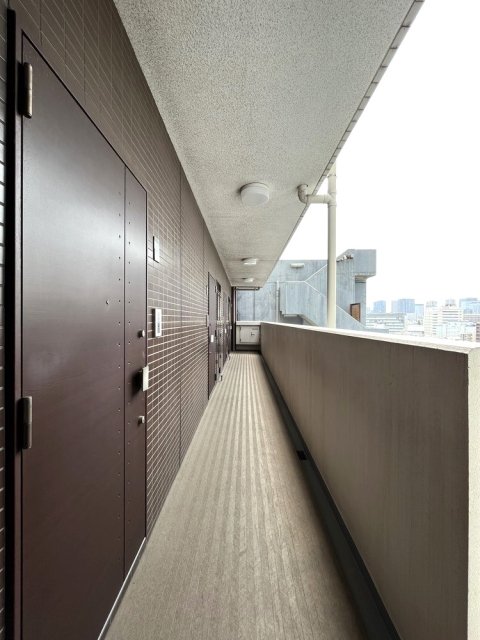 6/15 その他画像