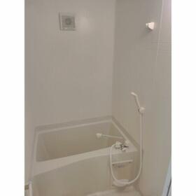 6/11 その他画像