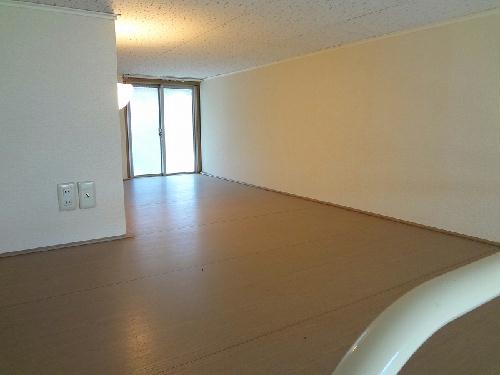 8/14 その他画像