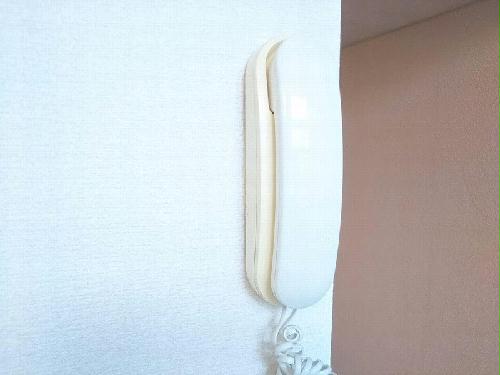 13/24 その他画像