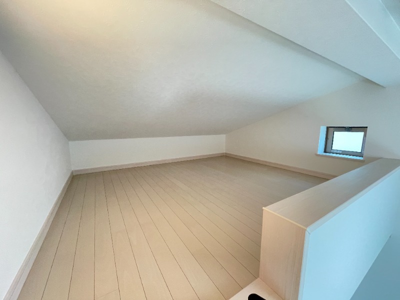 2/19 その他画像