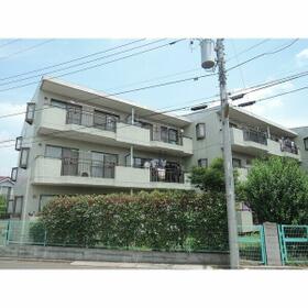 3/13 その他画像