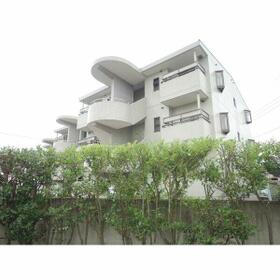 5/13 その他画像