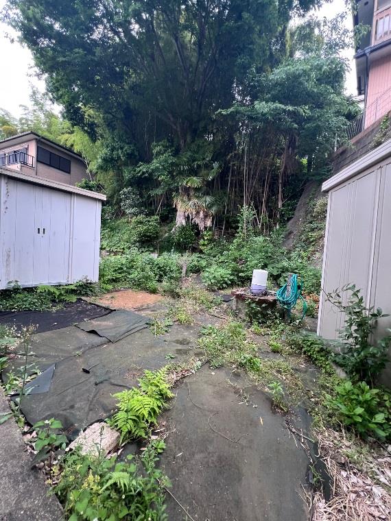 15/19 その他画像