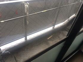 11/11 その他画像