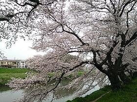 16/17 その他画像