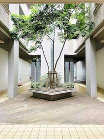 15/16 その他画像