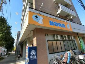 18/18 その他画像