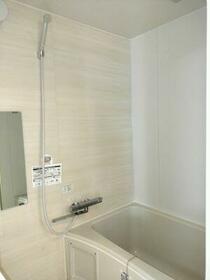 6/15 その他画像