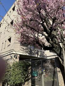 2/2 エントランス