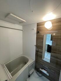 8/11 その他画像