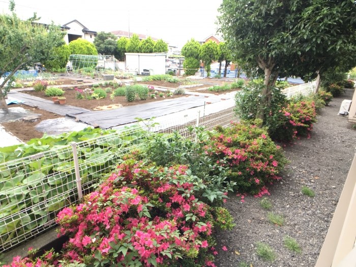 11/16 その他画像