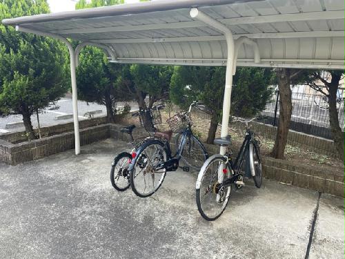 12/14 その他画像